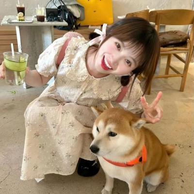彩虹飞仙